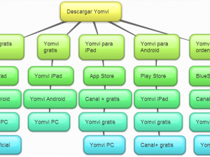 CampaReto: posicionar micronicho de Yomvi (1)